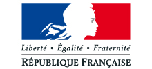 Gouvernement / Télédéclaration